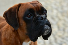 DSC_5401