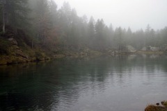 IMGP3973